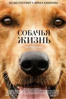Собачья жизнь на русском